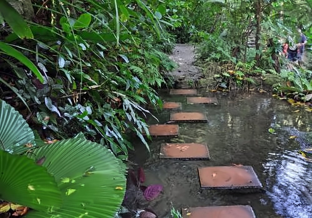 Abrahams Spice Garden, Thekkady – Best Travel Agency Near Me