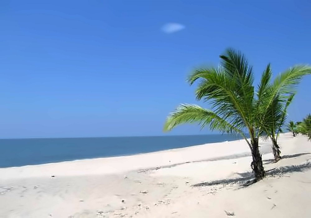 Marari Beach, Alapuzzha – Nearby Tours and Travels