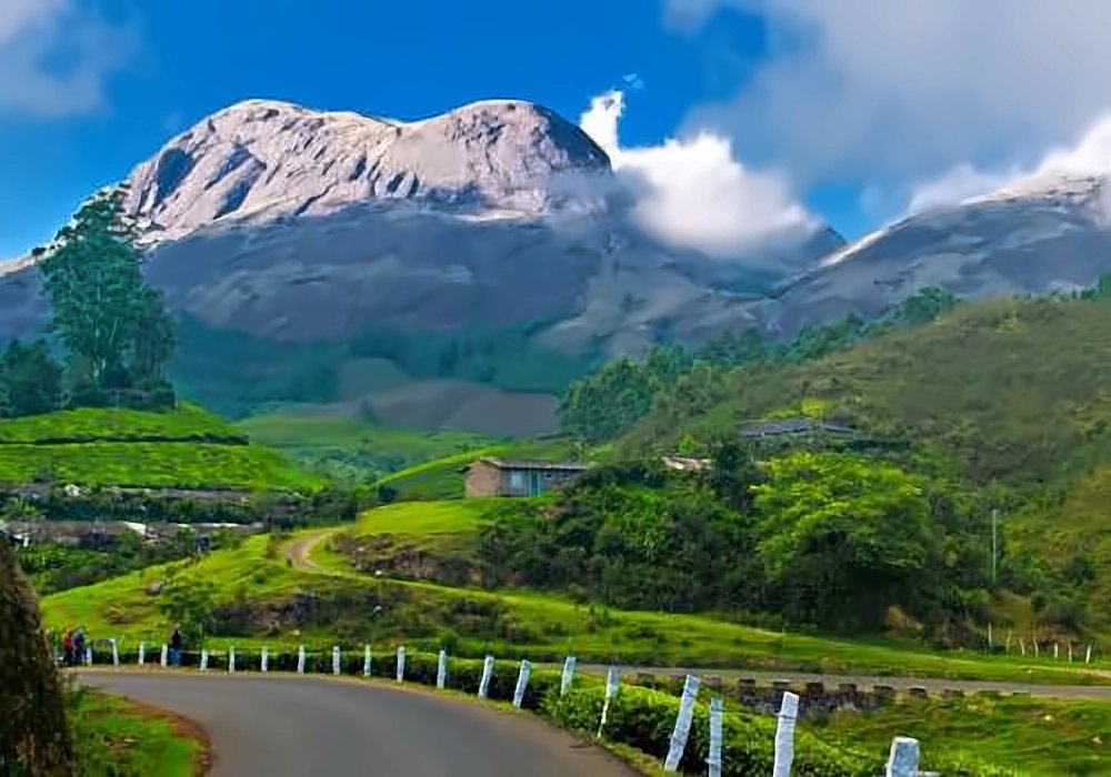 Munnar tour – Best Travel Agency in Madurai
