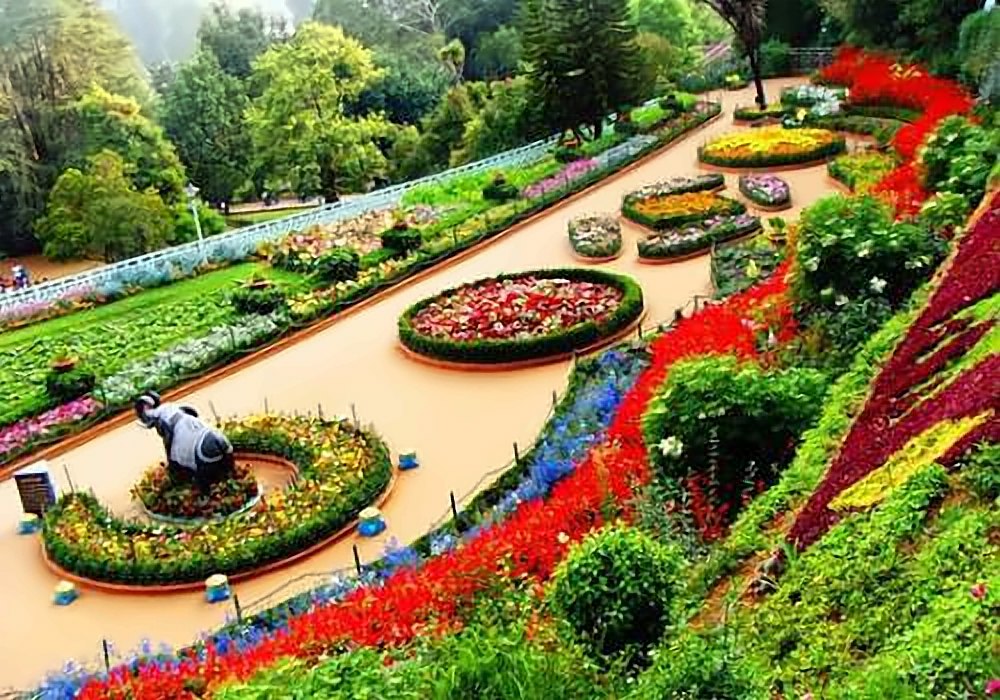 Ooty tour – Nearby Tours and Travels