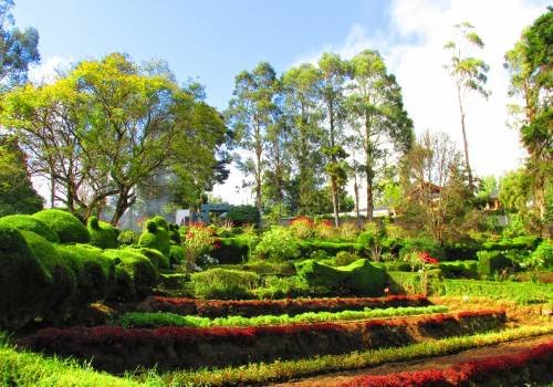 Yercaud Tour Travel in Madurai