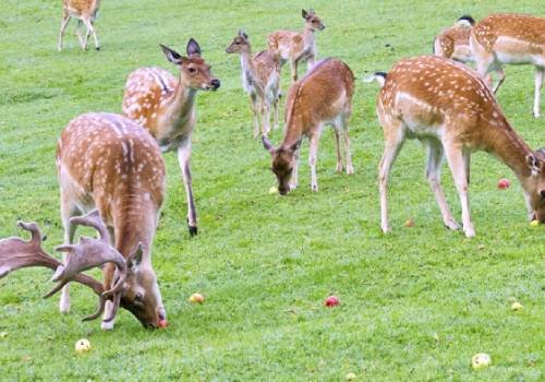 Travels Booking from Trichy