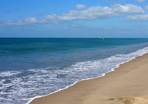 Best Travel Agents in Trichy