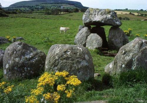 Top Travel Agents in Kanyakumari