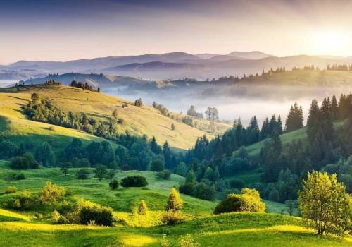 KodaikanalTravels In Madurai