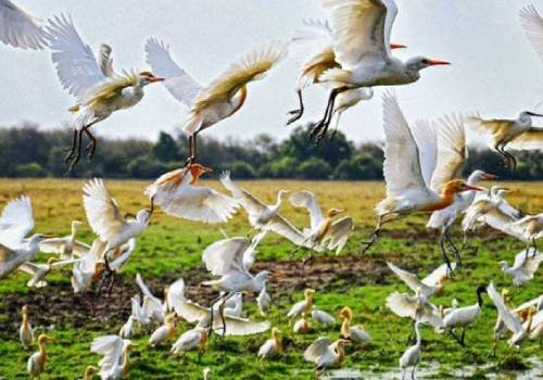 MahabalipuramTravels in Trichy