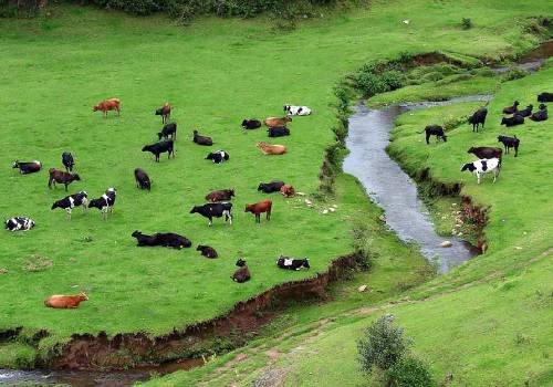 Kodaikanal Travel agent in Trichy