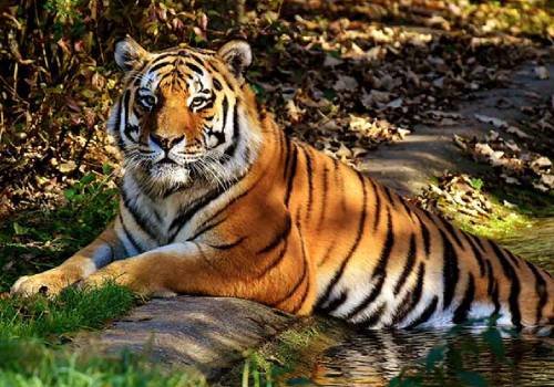 Madurai to Mahabalipuram Cab Booking