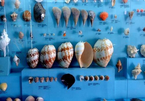 Best Travel Agents in Madurai