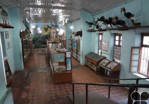 Madurai Packages at Best Price