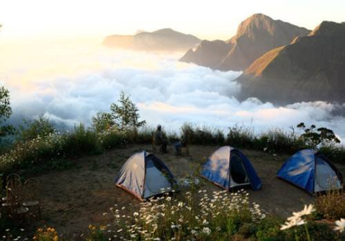 Wayanad tour package agent in madurai