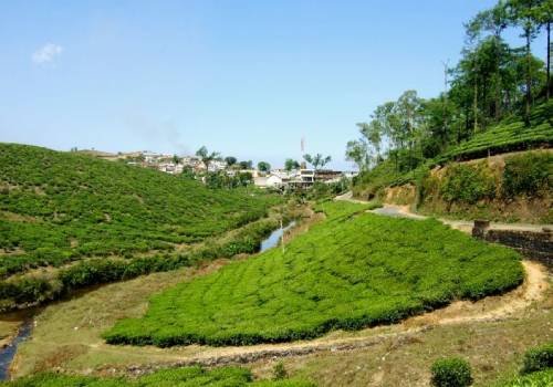 Car Rental Agency In Madurai