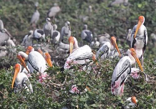 Kanyakumari Tour Packages in Madurai