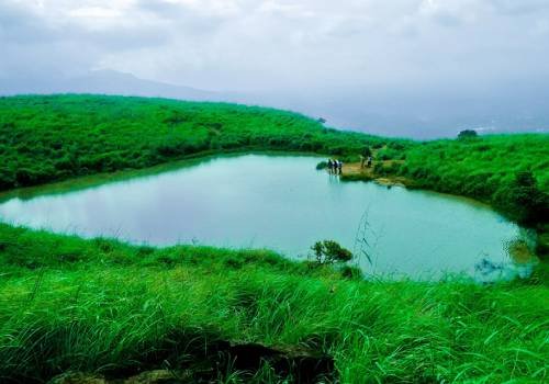 Munnar Family Tour Packages in Madurai